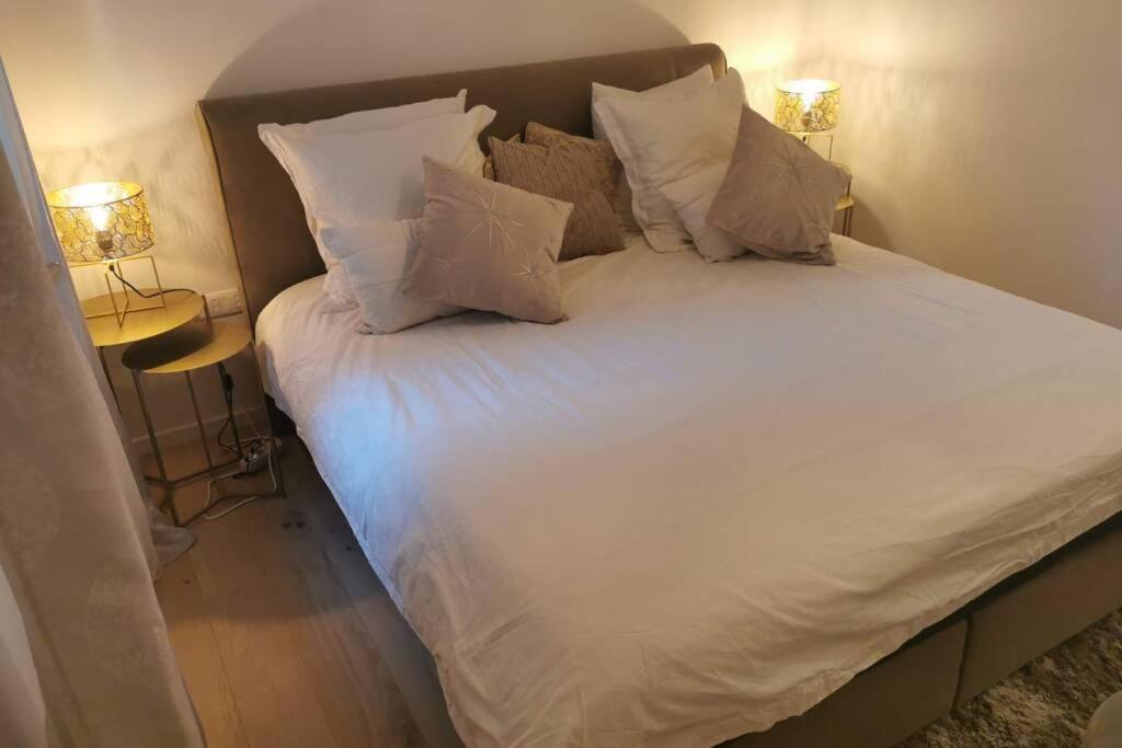 Magnifique F3, 75M² Avec Parking Prive Et Terrasse Lejlighed Strasbourg Eksteriør billede