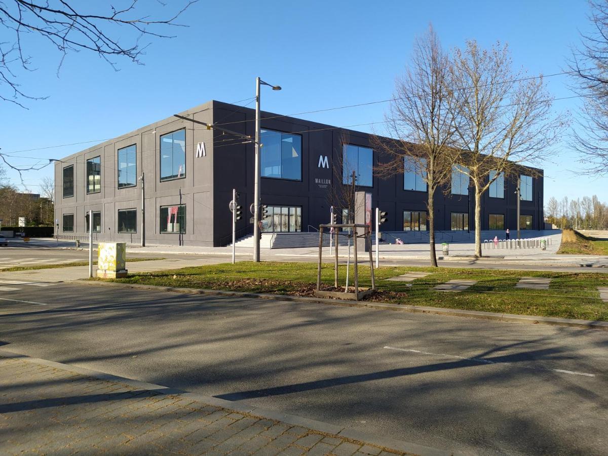 Magnifique F3, 75M² Avec Parking Prive Et Terrasse Lejlighed Strasbourg Eksteriør billede