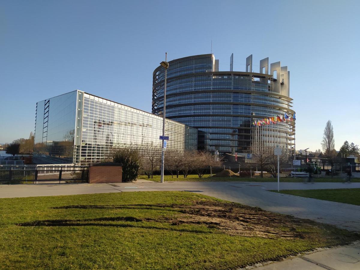 Magnifique F3, 75M² Avec Parking Prive Et Terrasse Lejlighed Strasbourg Eksteriør billede